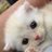 twitter profile