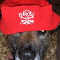 Rob (@theredun) 's Twitter Profile Photo