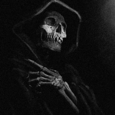 The_Wolf_Raider's profile picture.