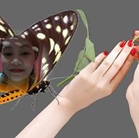 Momy6340Berrys's profile picture. 