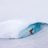 Paige Hareb (@paigehareb) 's Twitter Profile