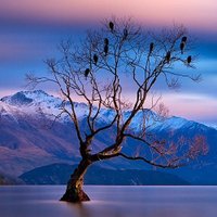 Momento (@magicnature0) Twitter profile photo