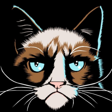 meowww_meister's profile picture. 