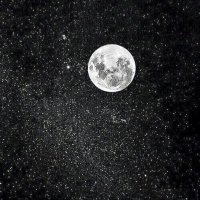 nour (@ashomsaudi) Twitter profile photo