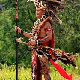 Wisata Kaltim On Twitter Burung Enggang Adalah Burung Khas