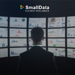 smalldata_bz's profile picture. 