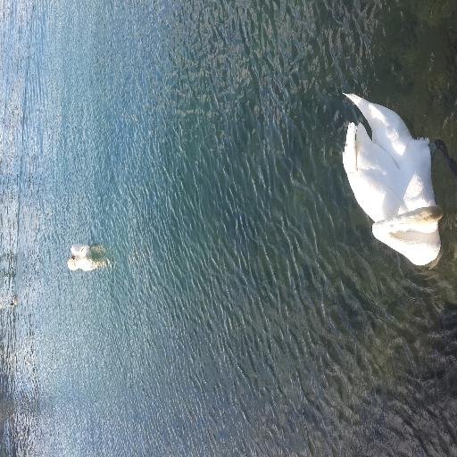 mh_hanane's profile picture. LIFE  IS SHORT SO BE GOOD AND SHUT UP