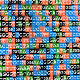 WickedKaffee's profile picture. Trying to become an intellectual