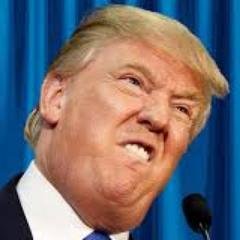 Let's make start ups great again. I can run any start up better than any founder. EXCUSE ME. It's true.
