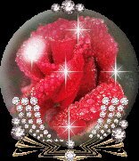 zehra8978670555's profile picture. 