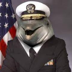 That dolphin boy. Wrestling fucking rules || 26M || Black (Apparently I need to put this in here) || #ThankYouSting || I do not support the military