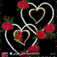 ام ابرار (@non_3668) Twitter profile photo