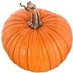 Pumpkin Tukva (@tukvareserve) Twitter profile photo Pumpkin Tukva (@tukvareserve) Twitter profile photo