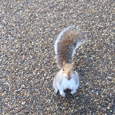 chihirotaylor's profile picture. 京都/四天/windsurfing/Hungary🇭🇺