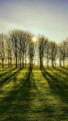 Yolette05's profile picture. .