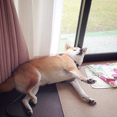 StefanoAPMacro's profile picture. 6th Period AP Macro