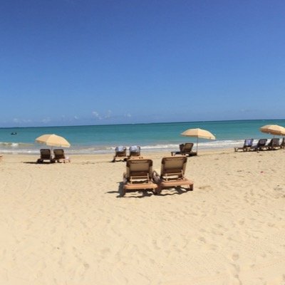 jetlagjessica's profile picture. 