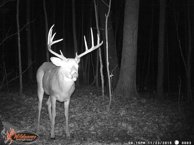 20isthenew17's profile picture. 