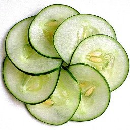 TLgreen5's profile picture. 