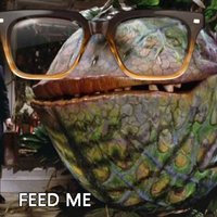 Twoey (@feed_the_plants) 's Twitter Profile