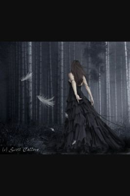 CaptiveNuit's profile picture. Perry / Annie / Bella / Bri / Izzy /Ellie / Cat / Deb / Sue

Objectif -  - 5 kg 
                    - 10 kg
                    - 15 kg