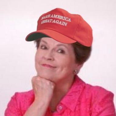 carol_burnett3's profile picture. God's gift- President  Trump, Elon Musk &Trump's entire cabinet,  🌿✝️🌺  Please -NO- QFS talks/spams, no discussion of funds$$$$ -No private messages