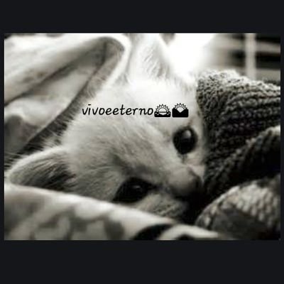 FOCO ,FORÇA  e FÉ AMIGOS. , ATIVEM MINHAS NOTIFICAÇÕES TALVEZ GOSTE DE MINHAS FRASES SÃO BEM LEGAIS. OBGD♡♥