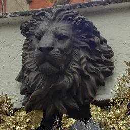 MyEngClassMex's profile picture. 