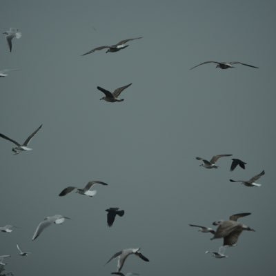 TheVillageBoyz's profile picture. The Village Boyz were the WORLDS BEST tribute Act to The Village People,Travelling the UK and abroad they were always in demand! Jason Ruined it.