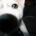 Hana Walker - @Hana__Bear - Twitter