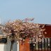 Brackenstown Parish (@cronanparish) Twitter profile photo Brackenstown Parish (@cronanparish) Twitter profile photo