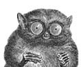 imitk's profile picture. designer, developer