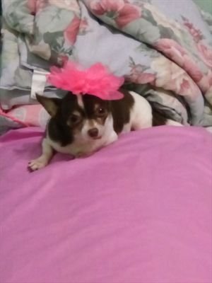 cielzkiee's profile picture. 