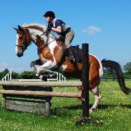 Coloured Cob Equestrian Centre