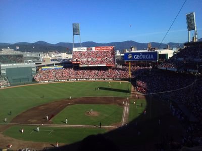 hashi3311's profile picture. 