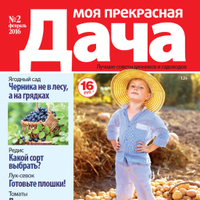 Моя прекрасная дача (@mpdacha) 's Twitter Profile