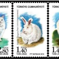 Turkish New Stamps and Philately