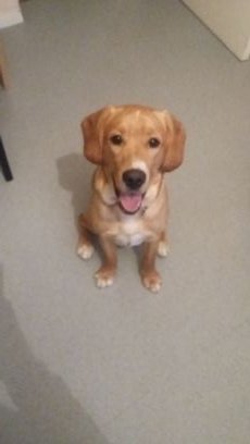 trimari3's profile picture. 