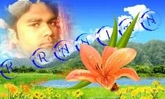 Shashik35501872's profile picture. 