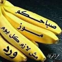 Mus2015Mohammed's profile picture. 