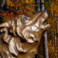 NC State Linguistics (@ncsulinguistics) 's Twitter Profile