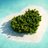 Travel & Pleasure's Twitter avatar