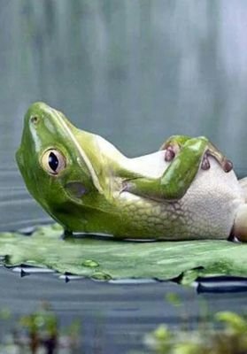 pacopep2's profile picture. Carpe diem, quam minimum credula postero