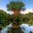 Ft_TravelConsul's profile image