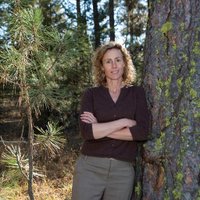 jakkimohr (@jakkimohr) 's Twitter Profile