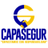 capasegur's profile image