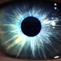 Mens Insana (@octolithe) 's Twitter Profile