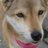 toon_modeler242のアイコン