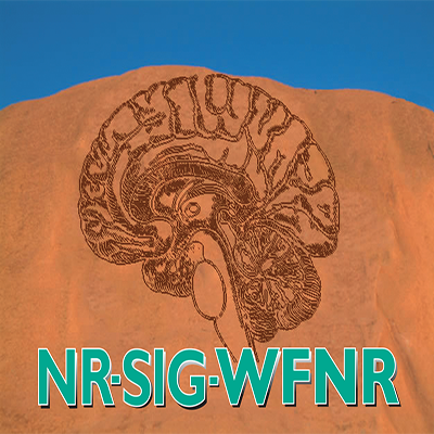 @WFNRehab Neuropsychological Special Interest Group for #BrainInjury Clinicians & Researchers worldwide. Tweets by @THINKFULLY_ @AlexRose_Neuro