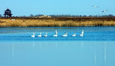 fxpotato's profile picture. nothing but fx & commodities ;)